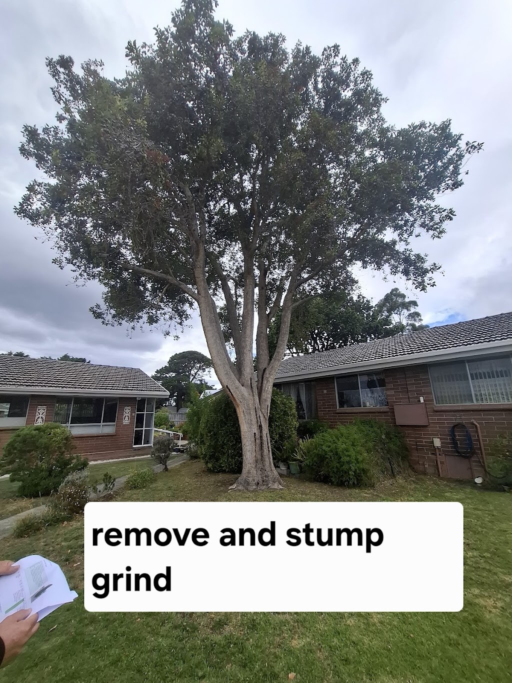 RRR Trees and Excavations | 37 Lachlan Ct, Brighton TAS 7030, Australia | Phone: 0407 291 879