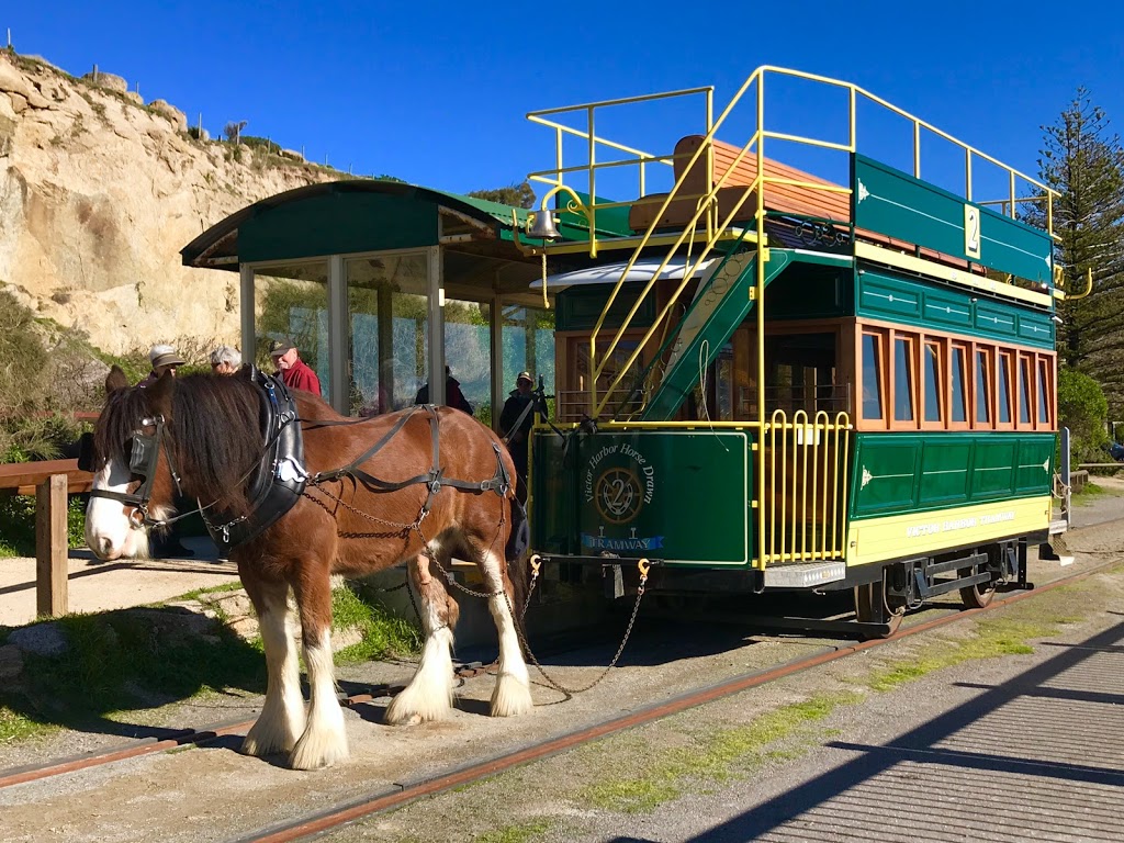 Victor Harbor Horse Drawn Tram | tourist attraction | Esplanade, Victor Harbor SA 5211, Australia | 0885510720 OR +61 8 8551 0720