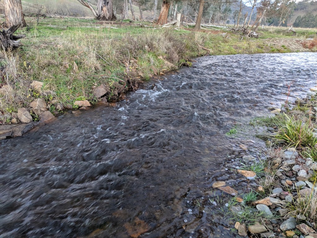 Murphy’s cabin | real estate agency | 62 Nariel Gap Rd, Thowgla Valley VIC 3707, Australia | 0418747157 OR +61 418 747 157