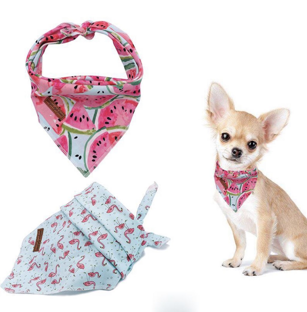 Aus Pet Accessories | store | 9 Walster St, Junee NSW 2663, Australia | 0448244223 OR +61 448 244 223