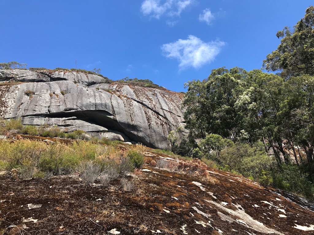 Mount Frankland Wilderness Lookout | Mount Frankland Rd, North Walpole WA 6398, Australia | Phone: (08) 9840 0400