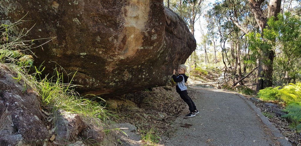 Cornubia Forest | park | Cornubia QLD 4130, Australia | 0734123412 OR +61 7 3412 3412