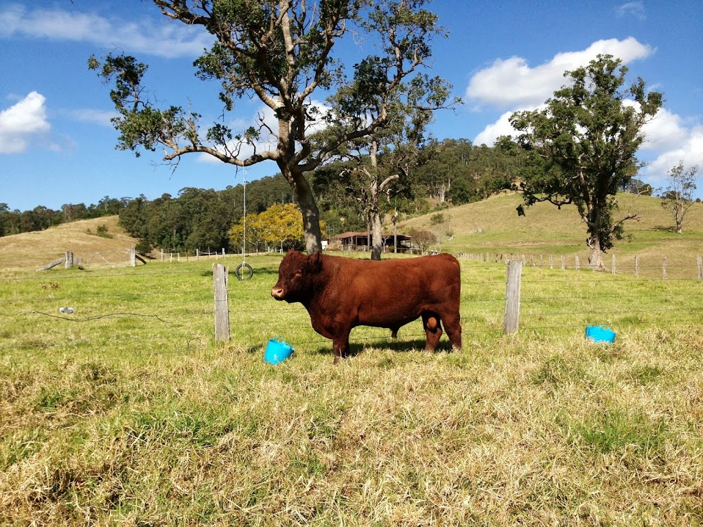 Lahara Farm | food | 495 Belbora Creek Rd, Belbora NSW 2422, Australia | 0418749520 OR +61 418 749 520