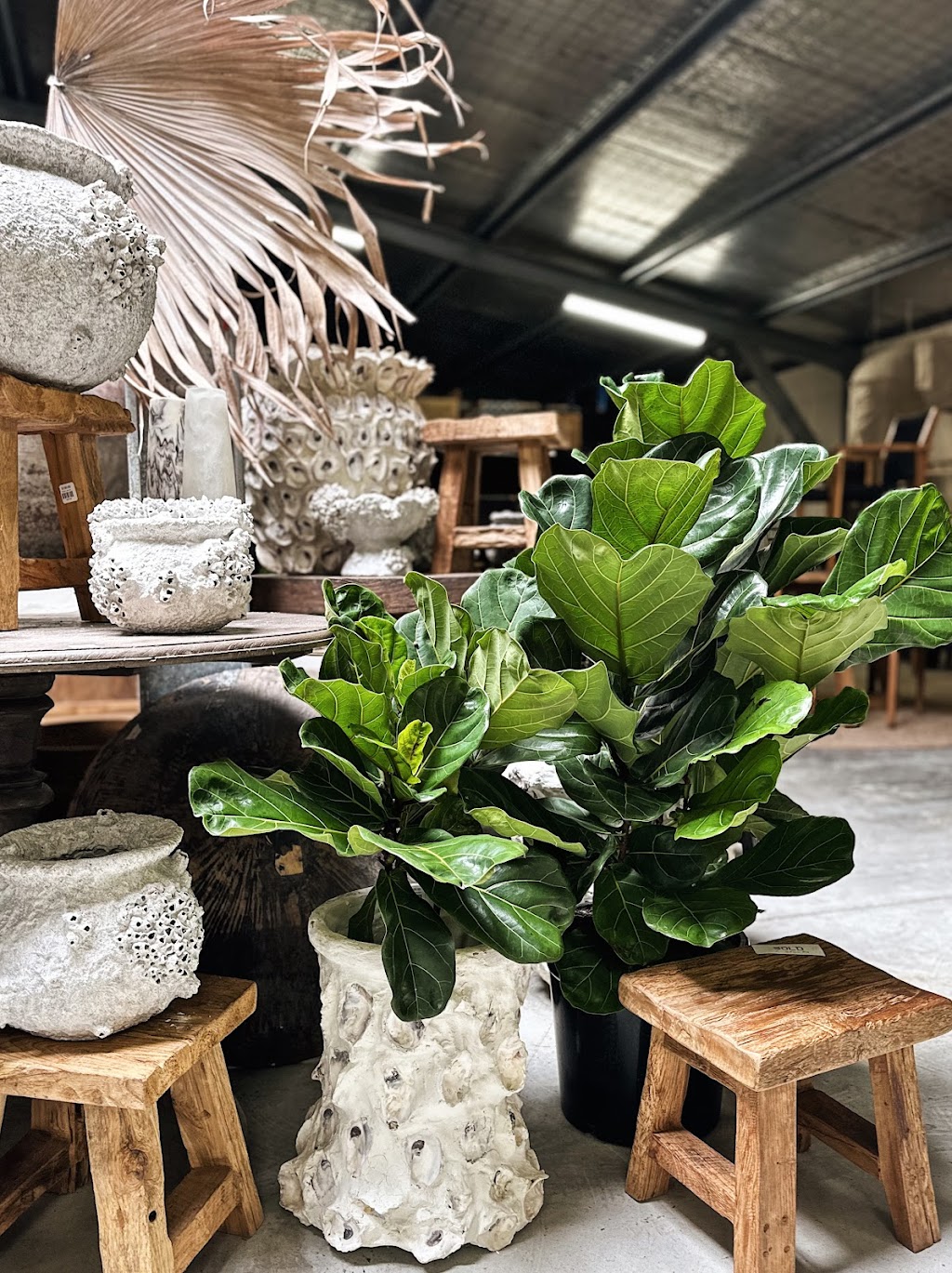 the TROVE @ Leaves & Fishes | 737 Lovedale Rd, Lovedale NSW 2325, Australia | Phone: 0438 985 676