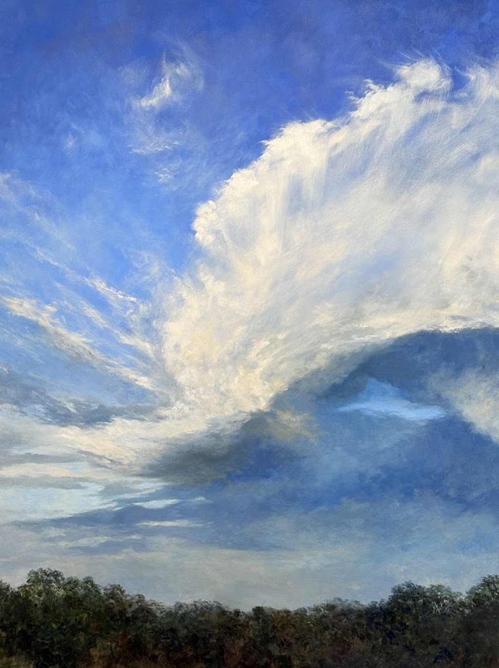 Corinne Loxton Blue Mountains Landscape Artist | 12 Jamison St, Blaxland NSW 2774, Australia | Phone: 0432 922 653