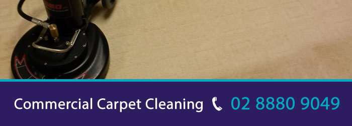 PRO Carpet Cleaning Sydney | 61/38 Driver Ave, Moore Park NSW 2021, Australia | Phone: (02) 8880 9049