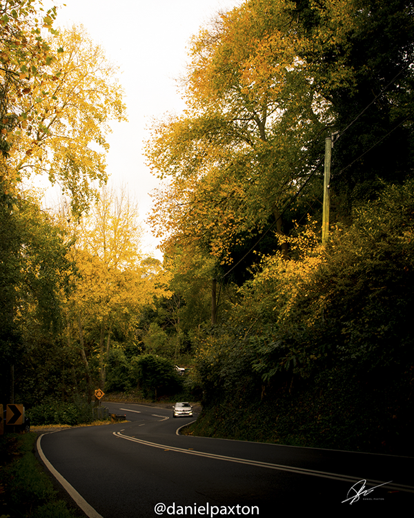 Clematis Bushland Reserve | 60 Monbulk Rd, Belgrave VIC 3160, Australia