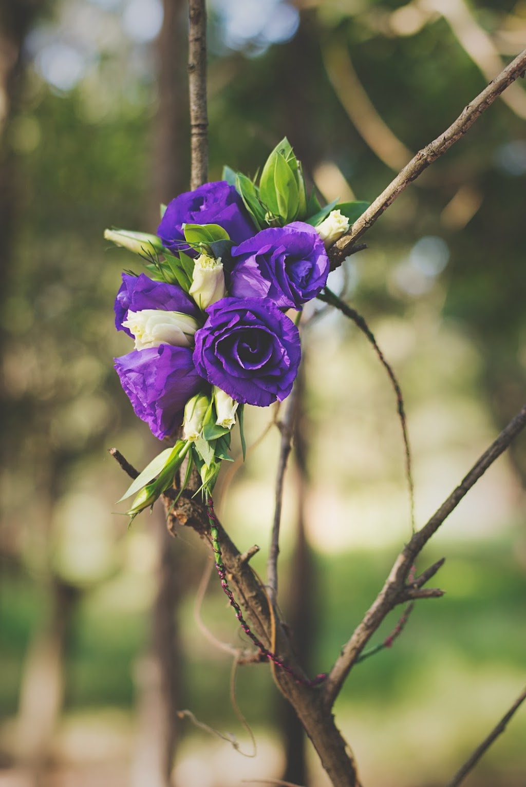 Twisted Willow Creations | 2 Marisa Ct, Capalaba QLD 4157, Australia | Phone: 0411 243 208