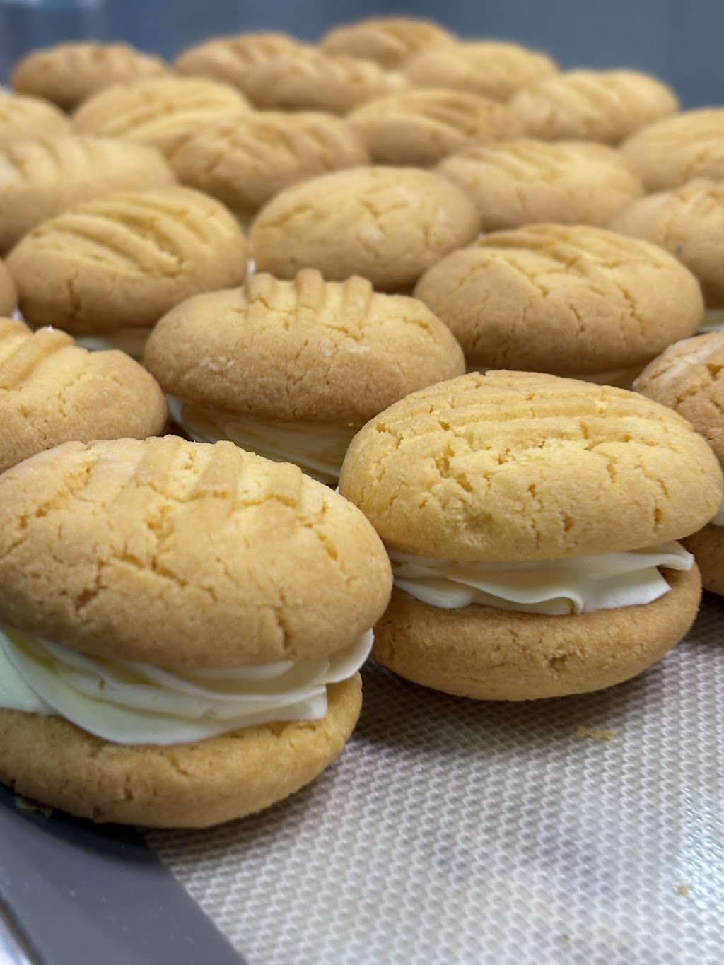 Mr Bold Next Door | Unit 1A/4 Hopkins Pl, Narooma NSW 2546, Australia | Phone: 0437 279 839