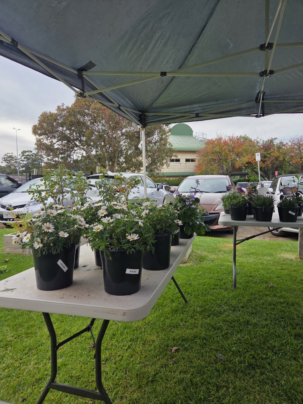 Bentleigh Farmers Market | 90 Bignell Rd, Bentleigh East VIC 3165, Australia | Phone: (03) 9570 3525