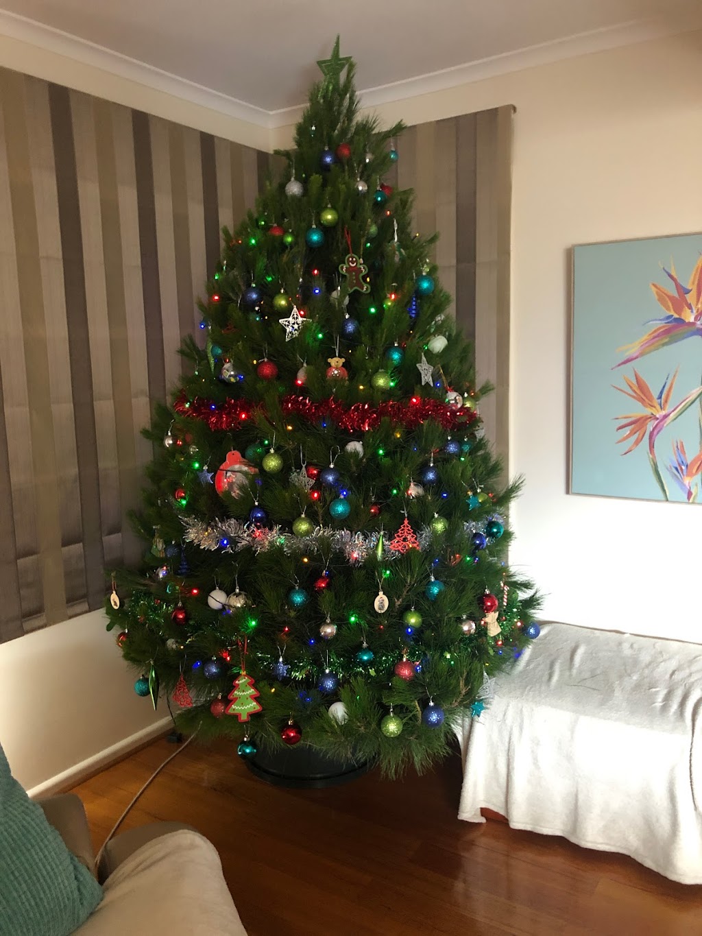 Evergreen Christmas Tree Farm |  | 240 Thames Promenade, Bangholme VIC 3175, Australia | 0400402932 OR +61 400 402 932