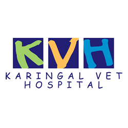 Karingal Veterinary Hospital | veterinary care | 328 Cranbourne Rd, Frankston VIC 3199, Australia | 0397893444 OR +61 3 9789 3444
