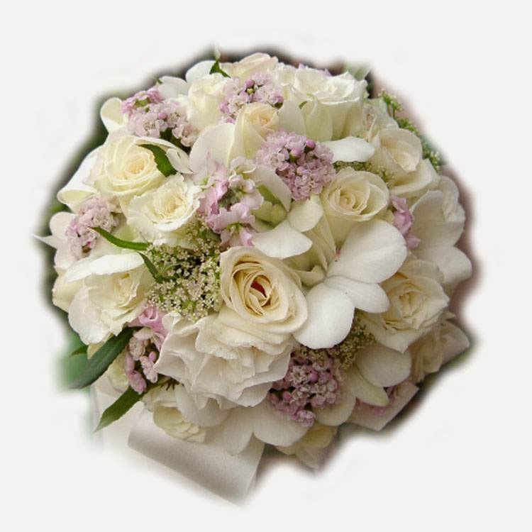 Belida Florist | 48 Queen St, Croydon NSW 2132, Australia | Phone: 0425 390 121