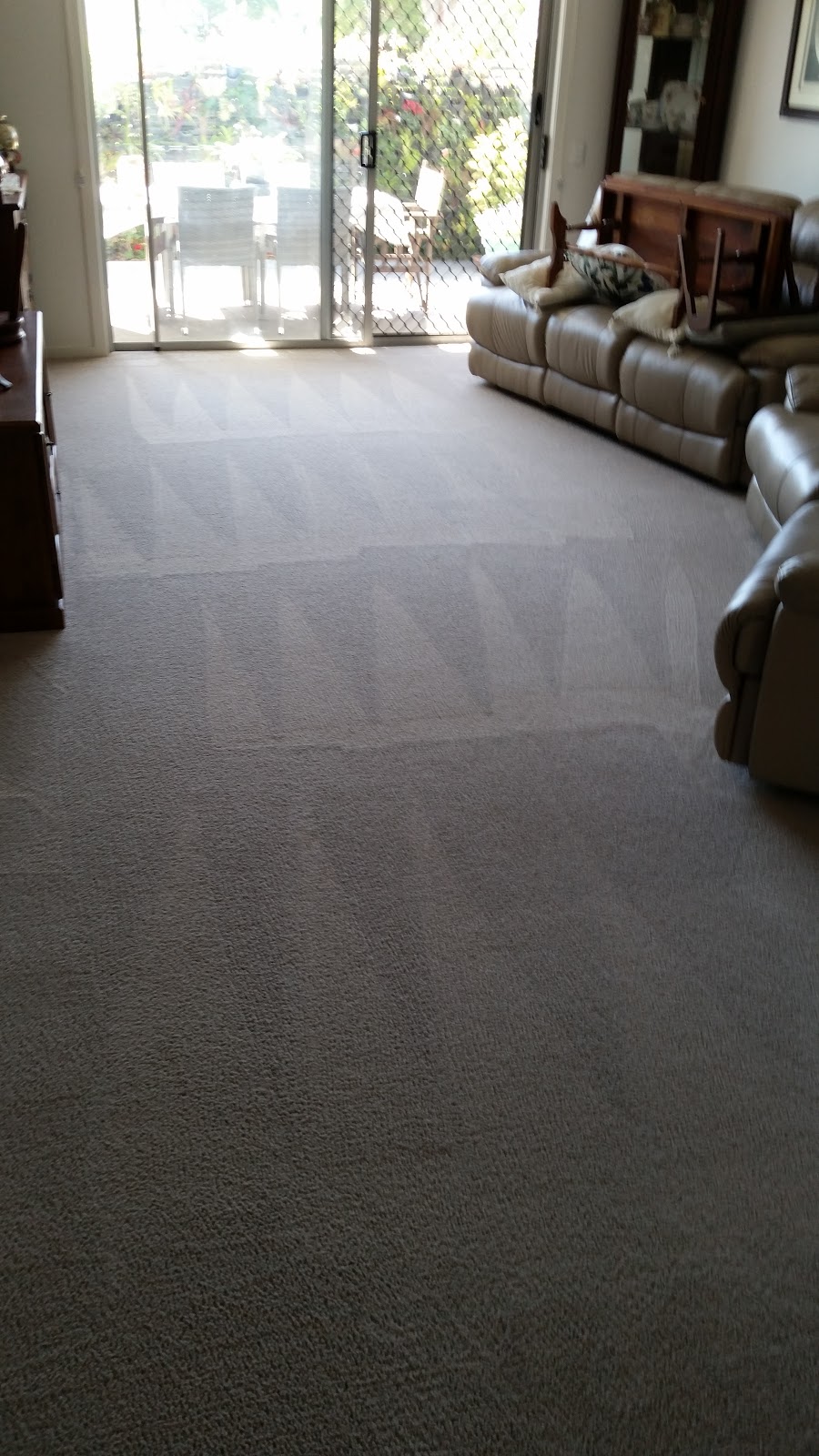 Wallas carpet & upholstery cleaning | 11 Well St, Forster NSW 2428, Australia | Phone: 0438 543 466