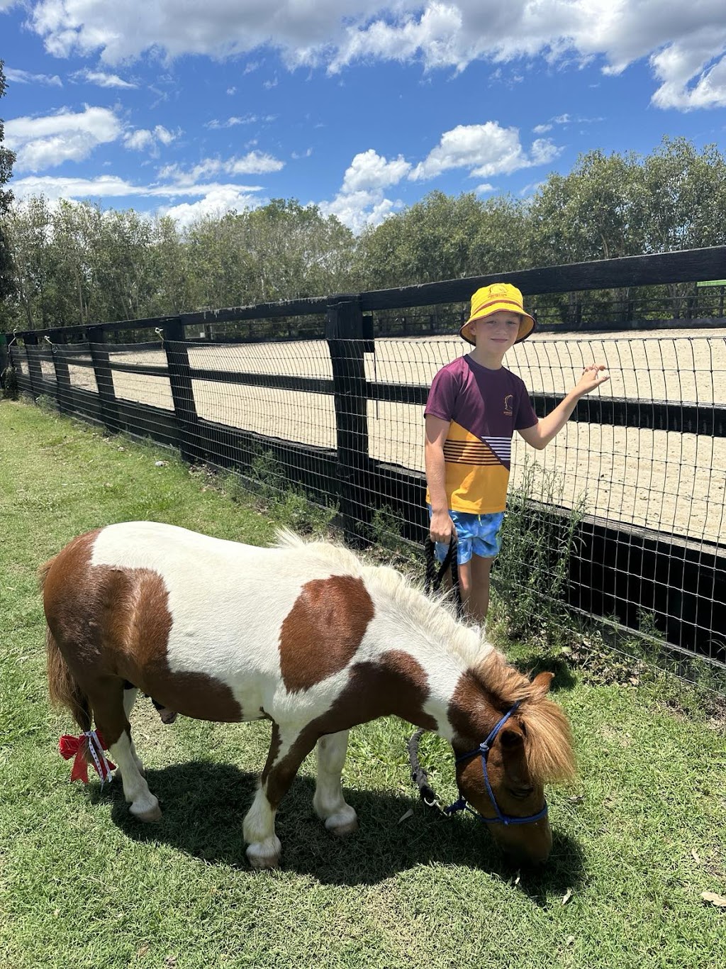 Life with Horses Limited | 45 Old Mount Samson Rd, Mount Samson QLD 4520, Australia | Phone: 0421 154 288