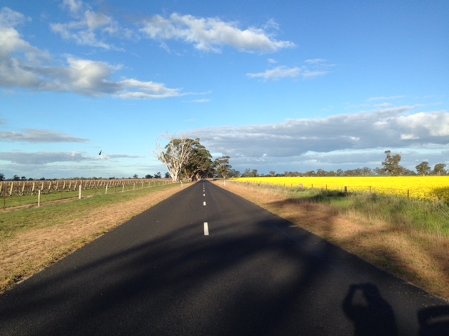 Treasury Wine Estates - Penfolds Vineyard Bordertown | Bordertown SA 5268, Australia | Phone: (08) 8765 5613