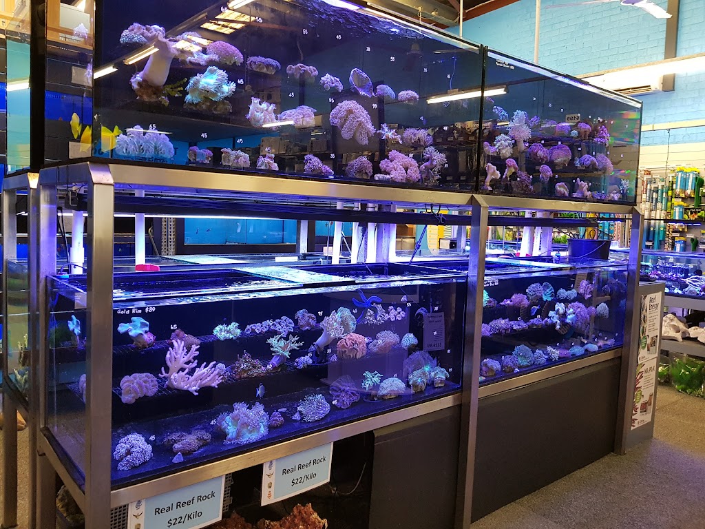 Fish City Aquarium - Fish Tank Filter | Aquarium Store Sydney | pet store | 10/109-127 Batt St, Jamisontown NSW 2750, Australia | 0247220000 OR +61 2 4722 0000