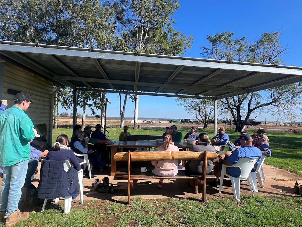 Bellevue Pastoral Company - Narrabri | 930 Browns Ln, Tarriaro NSW 2390, Australia | Phone: 0477 579 533