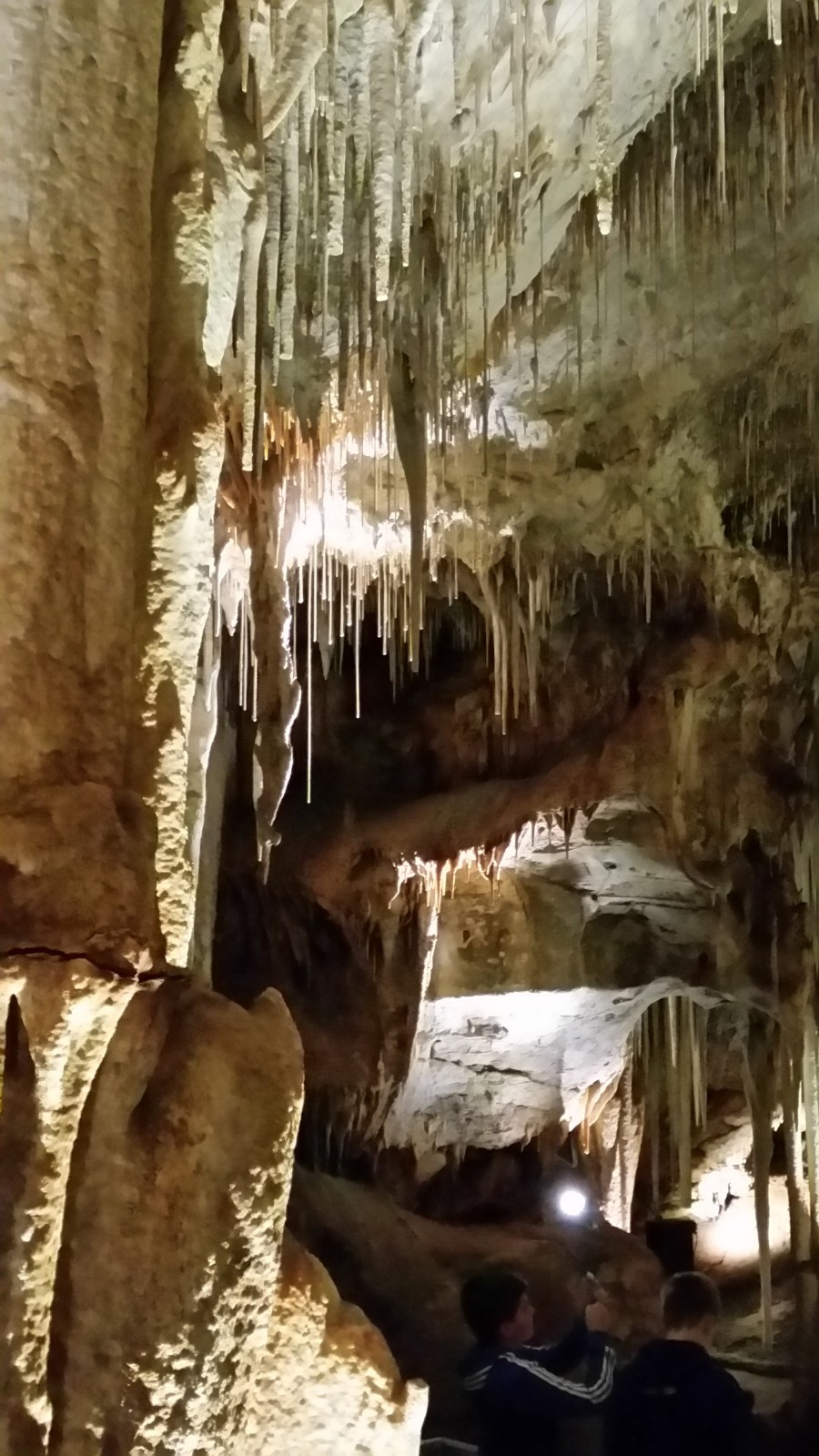 Tantanoola Caves | Tantanoola SA 5280, Australia