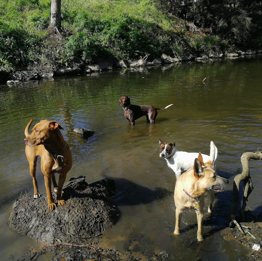 Christopher Walking - Melbourne Dog Walking & Daycare | 23 Hooper Cres, Brunswick West VIC 3055, Australia | Phone: 0476 127 949