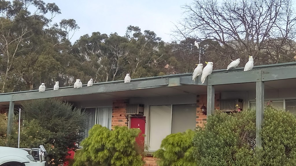 Grampians Motel | 394-404 Grampians Rd, Halls Gap VIC 3381, Australia | Phone: (03) 5356 4248