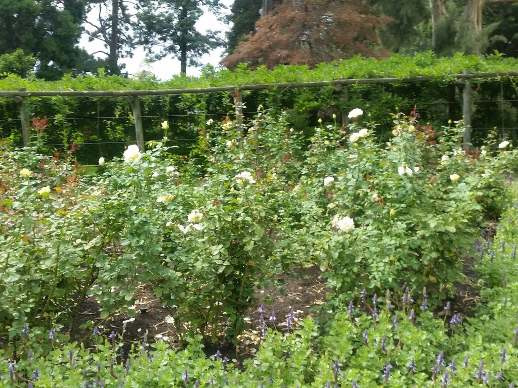 Government House Rose Garden | Government House Dr, Melbourne VIC 3004, Australia