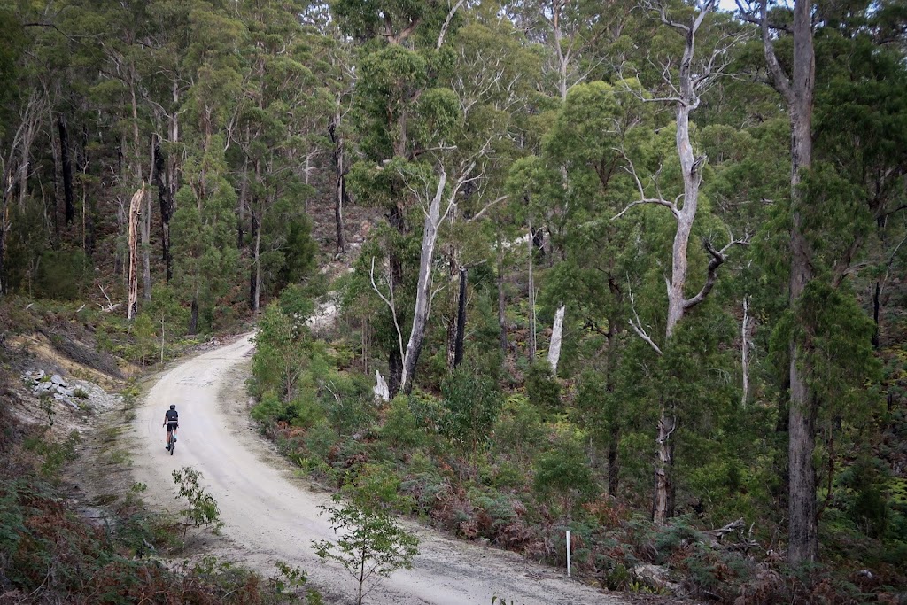 Tasmanian Gravel Tours | Derby Back Rd, Winnaleah TAS 7265, Australia | Phone: 0418 466 033