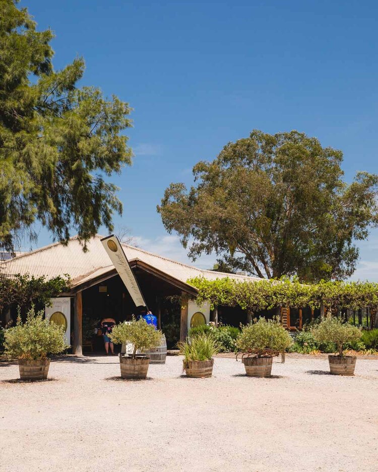 Pieter van Gent Winery & Vineyard | 141 Black Springs Rd, Eurunderee NSW 2850, Australia | Phone: (02) 6373 3030