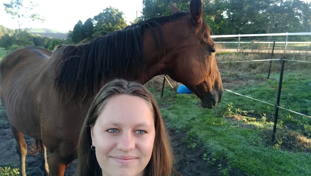 Oakleigh Equestrian Centre | 822 Gilston Rd, Gilston QLD 4211, Australia | Phone: (07) 5533 2161