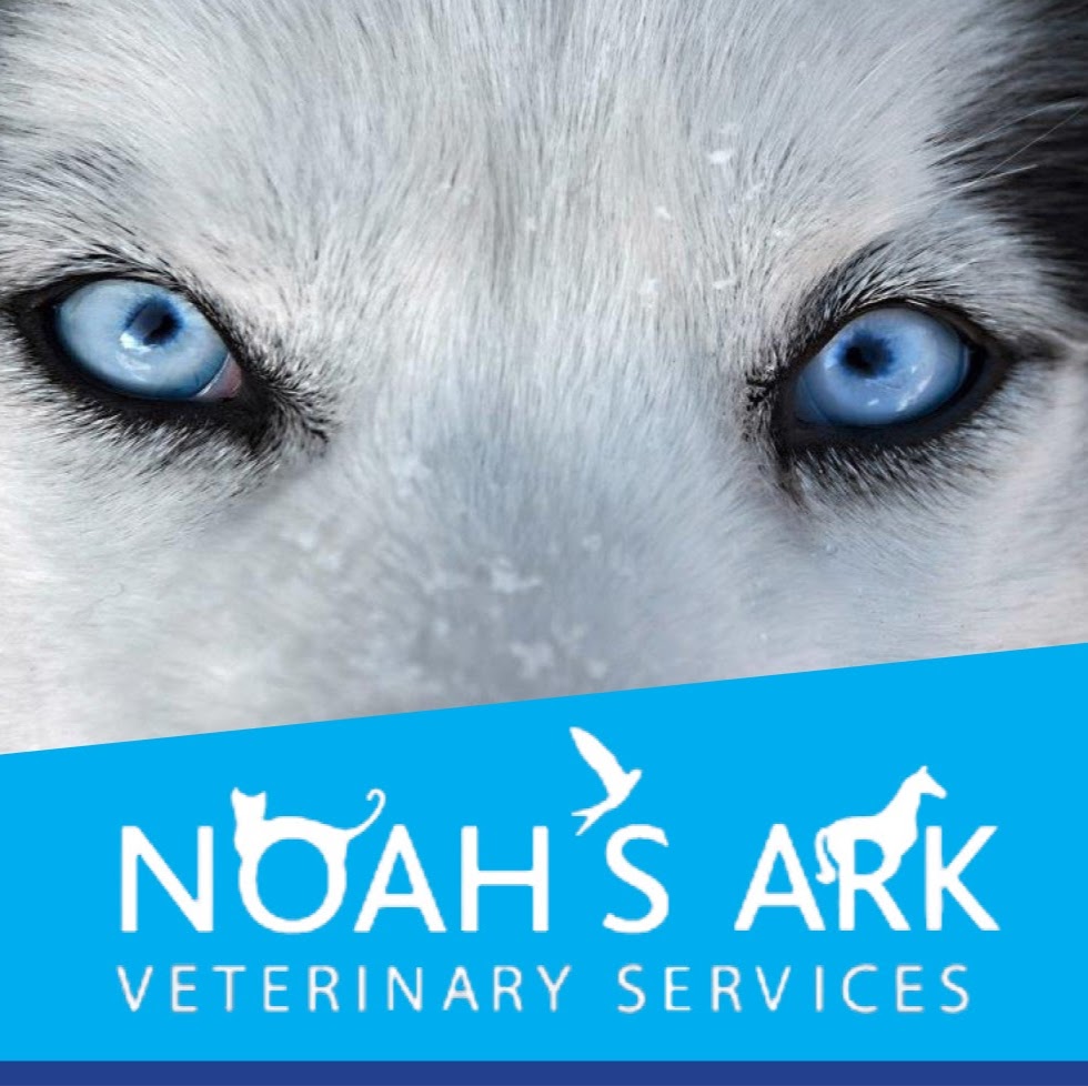 Noahs Ark Veterinary Services Pty Ltd | veterinary care | 13 Yacaaba Street Nelson Bay, Nelson Bay NSW 2315, Australia | 0249811033 OR +61 2 4981 1033