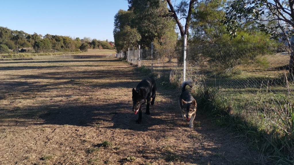Eastern Creeklands Dog Park | park | Douglas St, North Hill NSW 2350, Australia