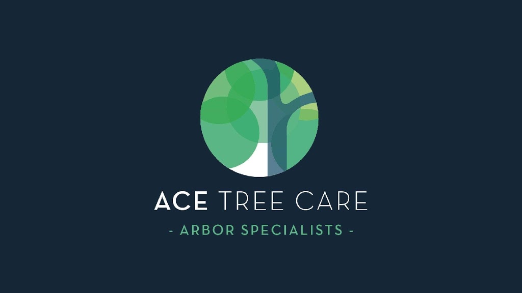 Ace Tree Care | 21 Boyle St, Ermington NSW 2115, Australia | Phone: 0452 121 300