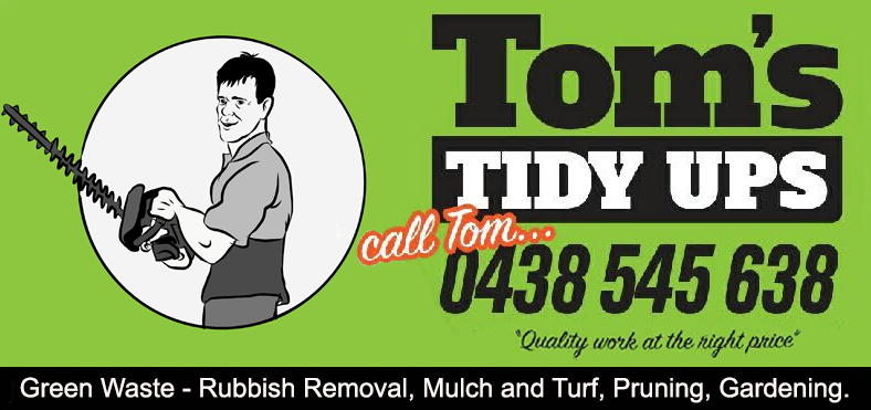 Toms Tidy Ups | park | 1 Lolita Ct, Varsity Lakes QLD 4227, Australia | 0438545638 OR +61 438 545 638