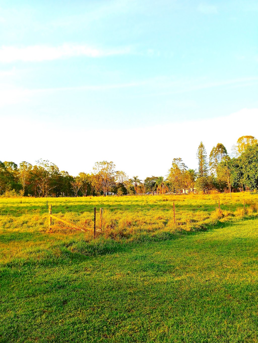 Goldhayven Farm | 74 Danyenah St, Loganholme QLD 4129, Australia | Phone: 0411 571 542