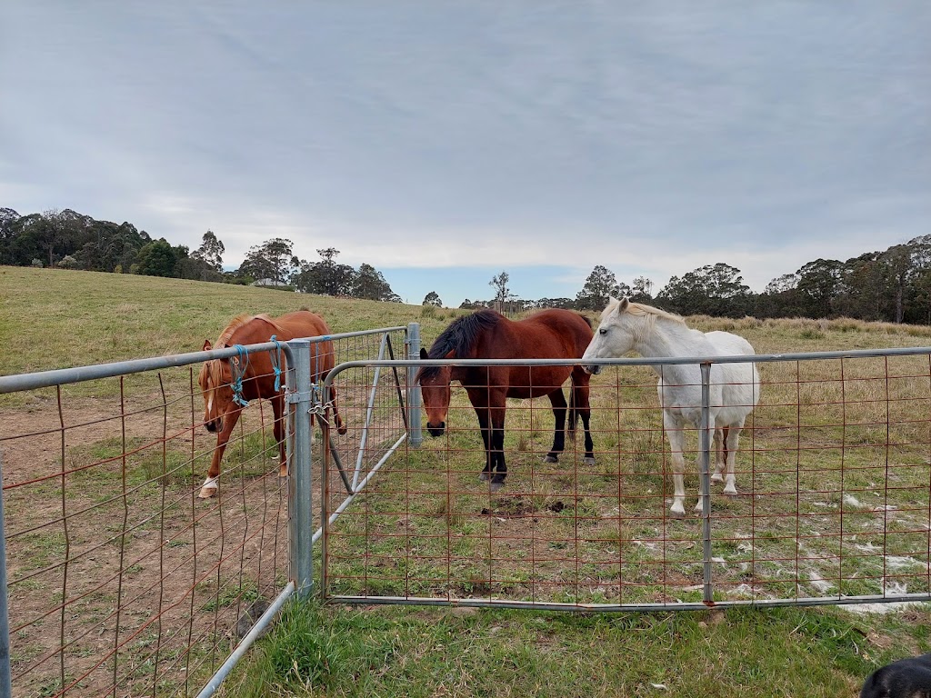 Meriba B and B | Meriba B and B, 68 River View Rd, Bundanoon NSW 2578, Australia | Phone: 0418 647 852