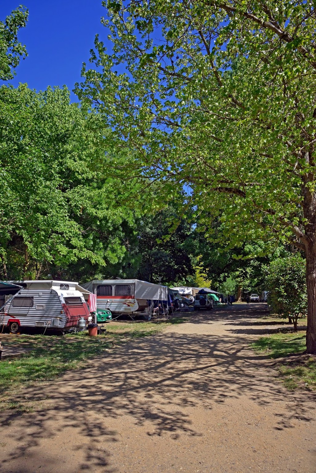 Arderns Caravan Park | rv park | Willow Grove, Myrtleford VIC 3737, Australia | 0357521394 OR +61 3 5752 1394