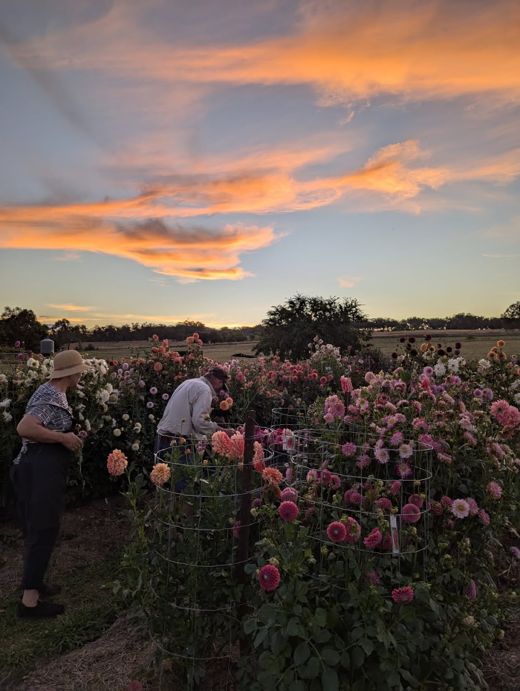 The Patch @ Spencer’s Gully | 714 Yetman Rd, Inverell NSW 2360, Australia | Phone: 0448 221 250