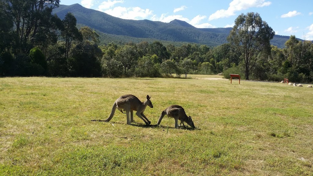 Tidbinbilla Nature Reserve | park | Paddy’s River Road, Paddys River ACT 2620, Australia | 0262051233 OR +61 2 6205 1233