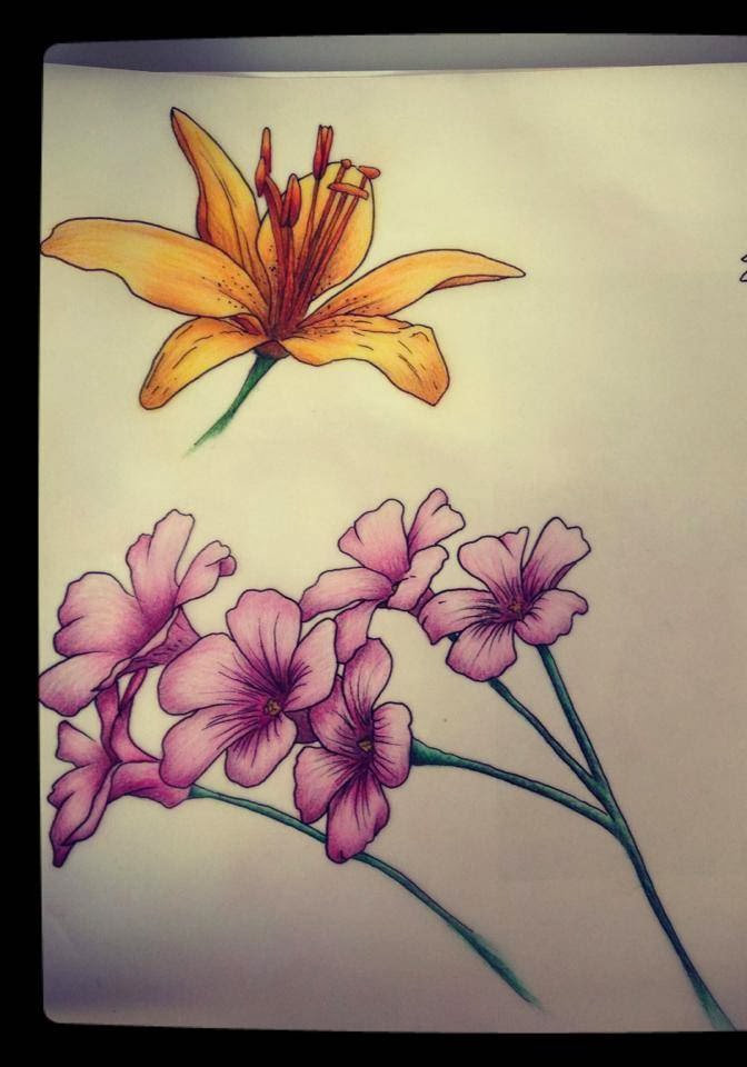 Bridgette Gale - Tattooing and Body Piercing | 212 Barkly St, St Kilda VIC 3182, Australia