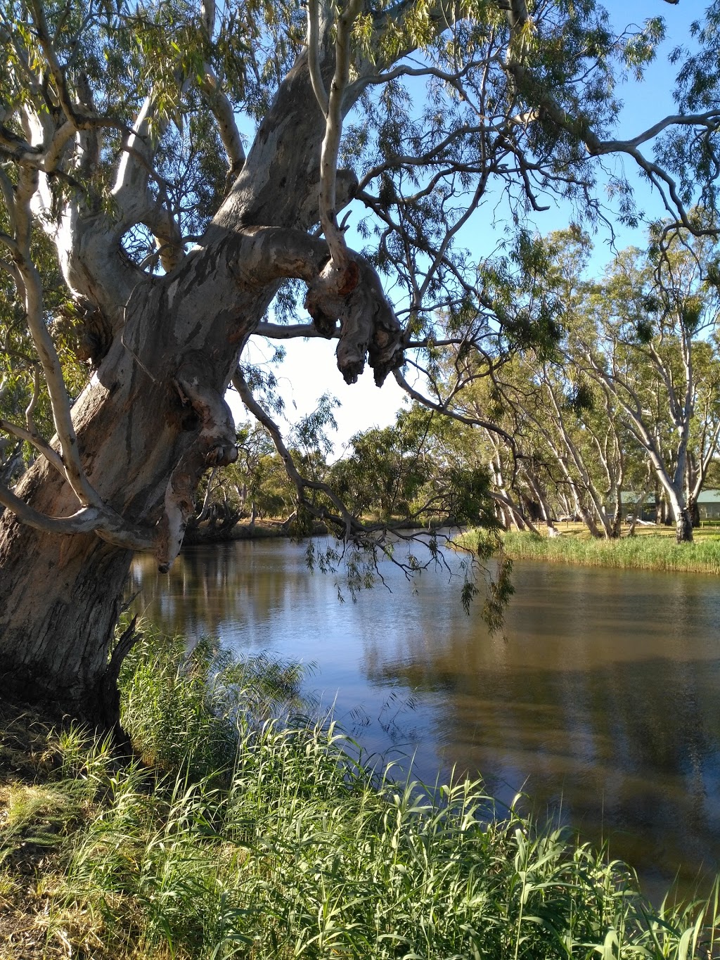 Dimboola Native Flora & Fauna Reserve | Ellerman St, Dimboola VIC 3414, Australia | Phone: 13 19 63