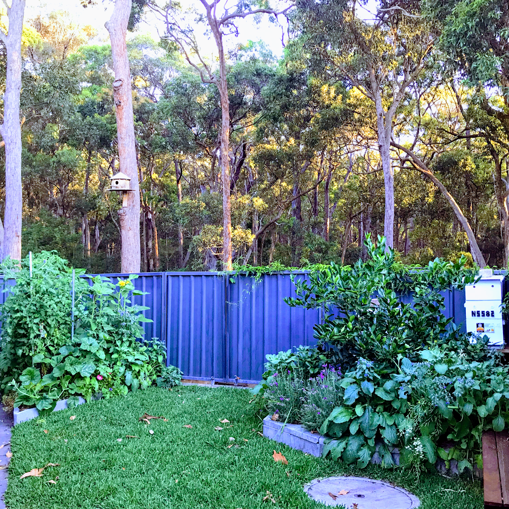 The Backyard Beekeeper | Muswellbrook, George Holt Dr, Mount Crosby QLD 4306, Australia | Phone: 0401 705 228