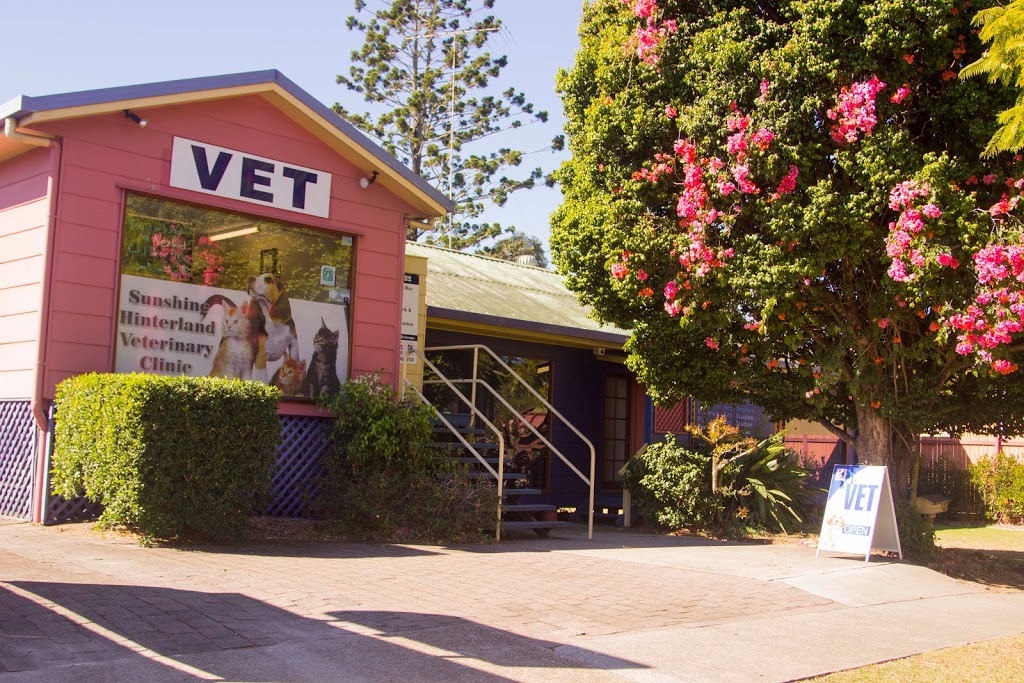 Sunshine Hinterland Veterinary Clinic, Nambour | veterinary care | 19 Mathew St, Nambour QLD 4560, Australia | 0754413022 OR +61 7 5441 3022