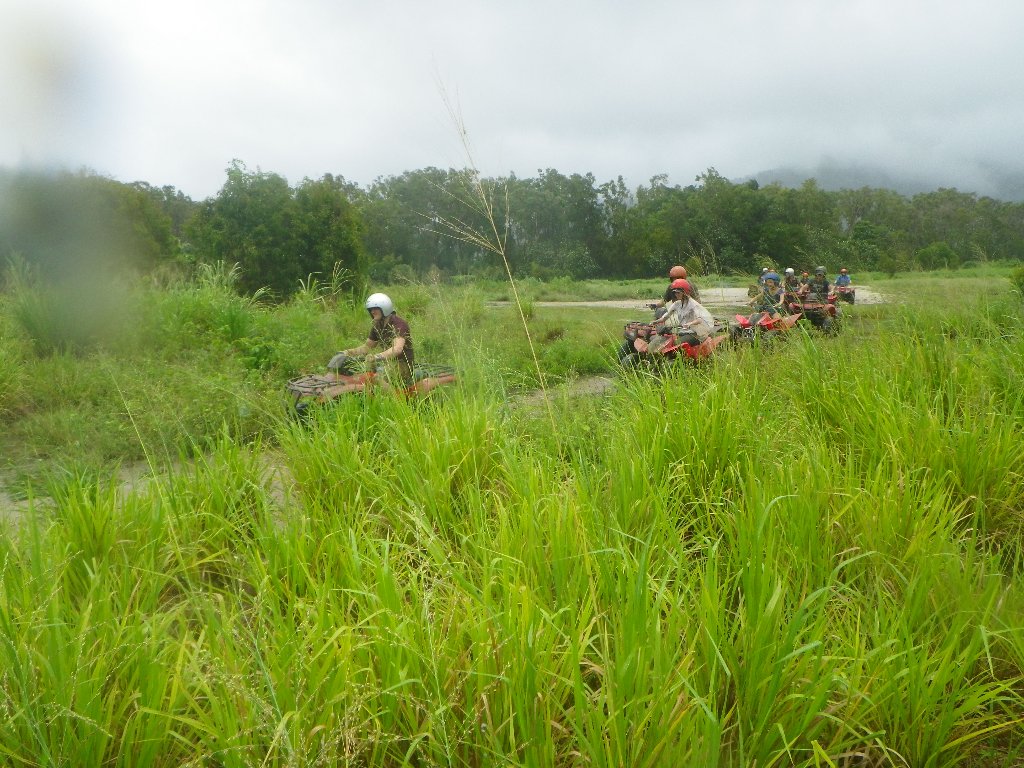 Blazing Saddles Adventures | 96 Yorkeys Knob Rd, Yorkeys Knob QLD 4878, Australia | Phone: (07) 4055 7400