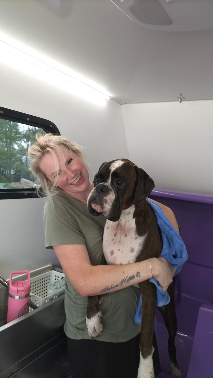 The Mobile Dog Barber | Leopardwood Rd, Cedar Grove QLD 4285, Australia | Phone: 0400 739 869