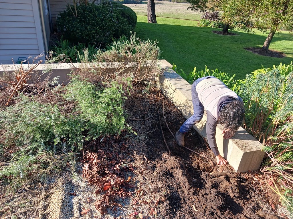 Garden Assist Bittern | 30 Woolleys Rd, Bittern VIC 3918, Australia | Phone: 0401 125 049