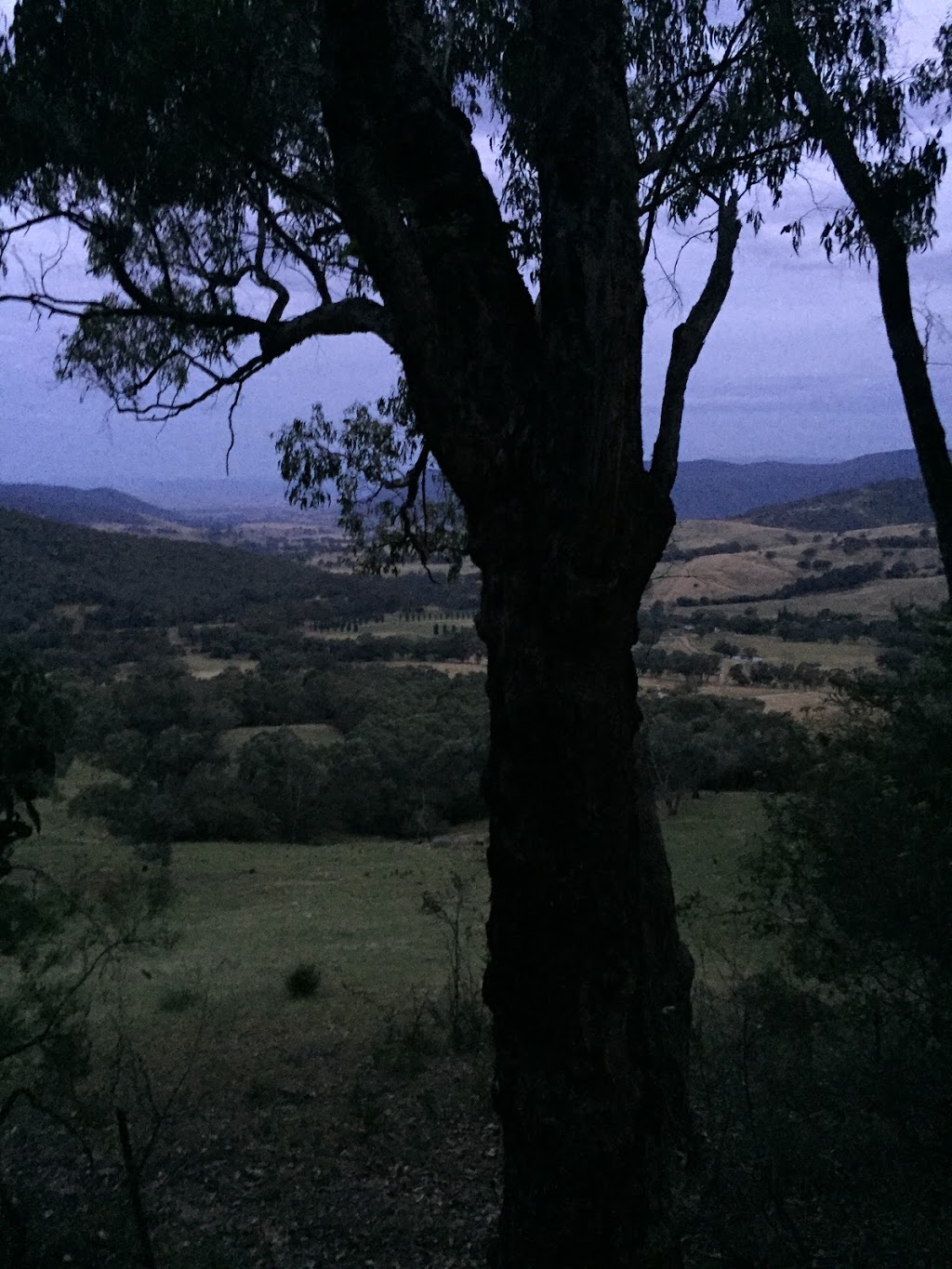 Blue Gum Campground | campground | Cudgewa VIC 3705, Australia