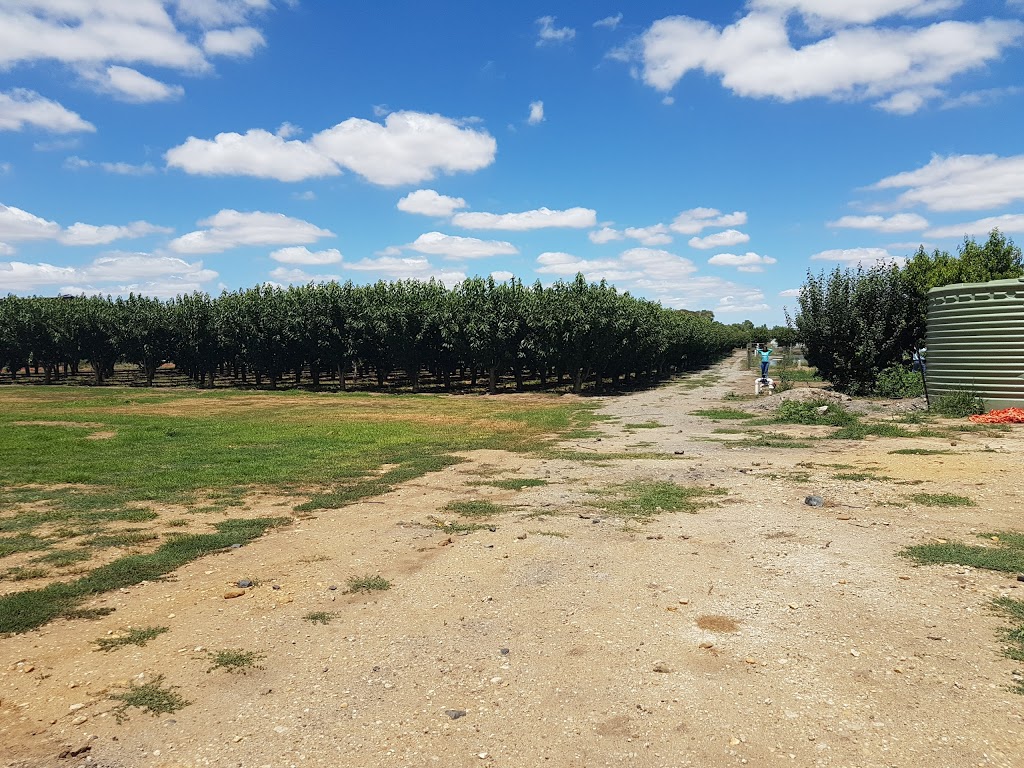 The Big Apple Tourist Orchard | store | 432 Bacchus Marsh Rd, Bacchus Marsh VIC 3340, Australia | 0353677625 OR +61 3 5367 7625