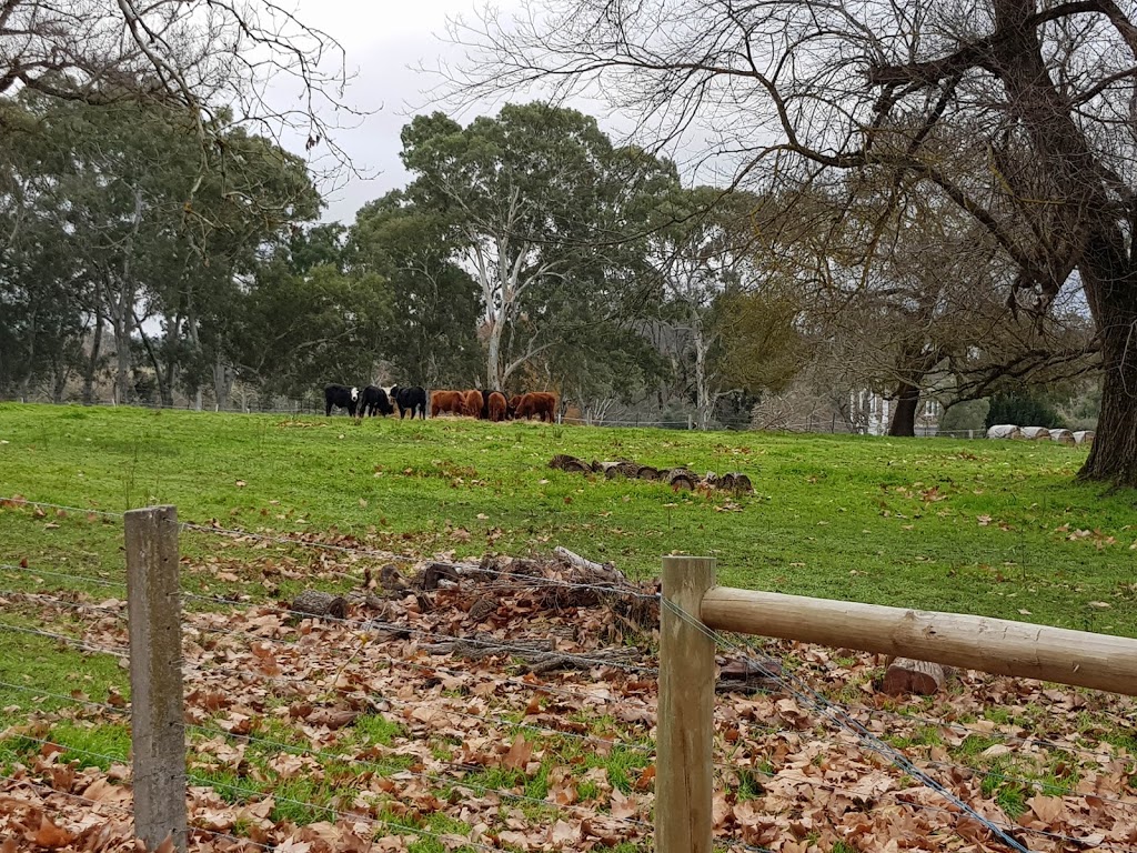 Oakbank Racing Club | 46 Oakwood Rd, Oakbank SA 5243, Australia | Phone: (08) 8388 4072