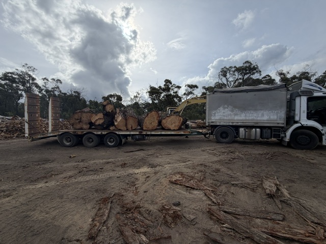 Canopy Lift contracting | 210 Railway Parade, Balmoral NSW 2571, Australia | Phone: 0458 401 601