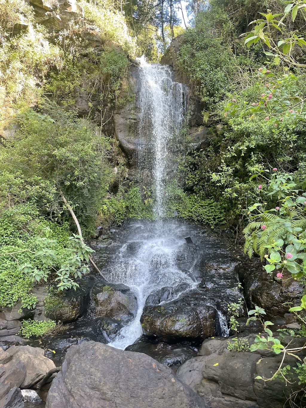 Rolling Hills Estate | 66 Fraser Rd, Dunoon NSW 2480, Australia | Phone: 0434 900 540